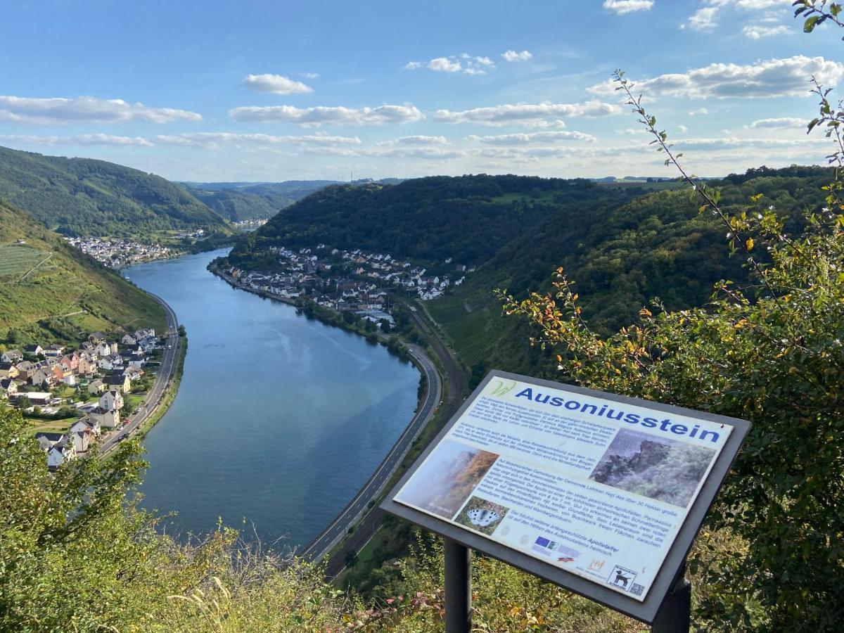 Ferienwohnung Auf Der Moselhoehe - Naehe Koblenz Und Cochem Dieblich Exterior photo